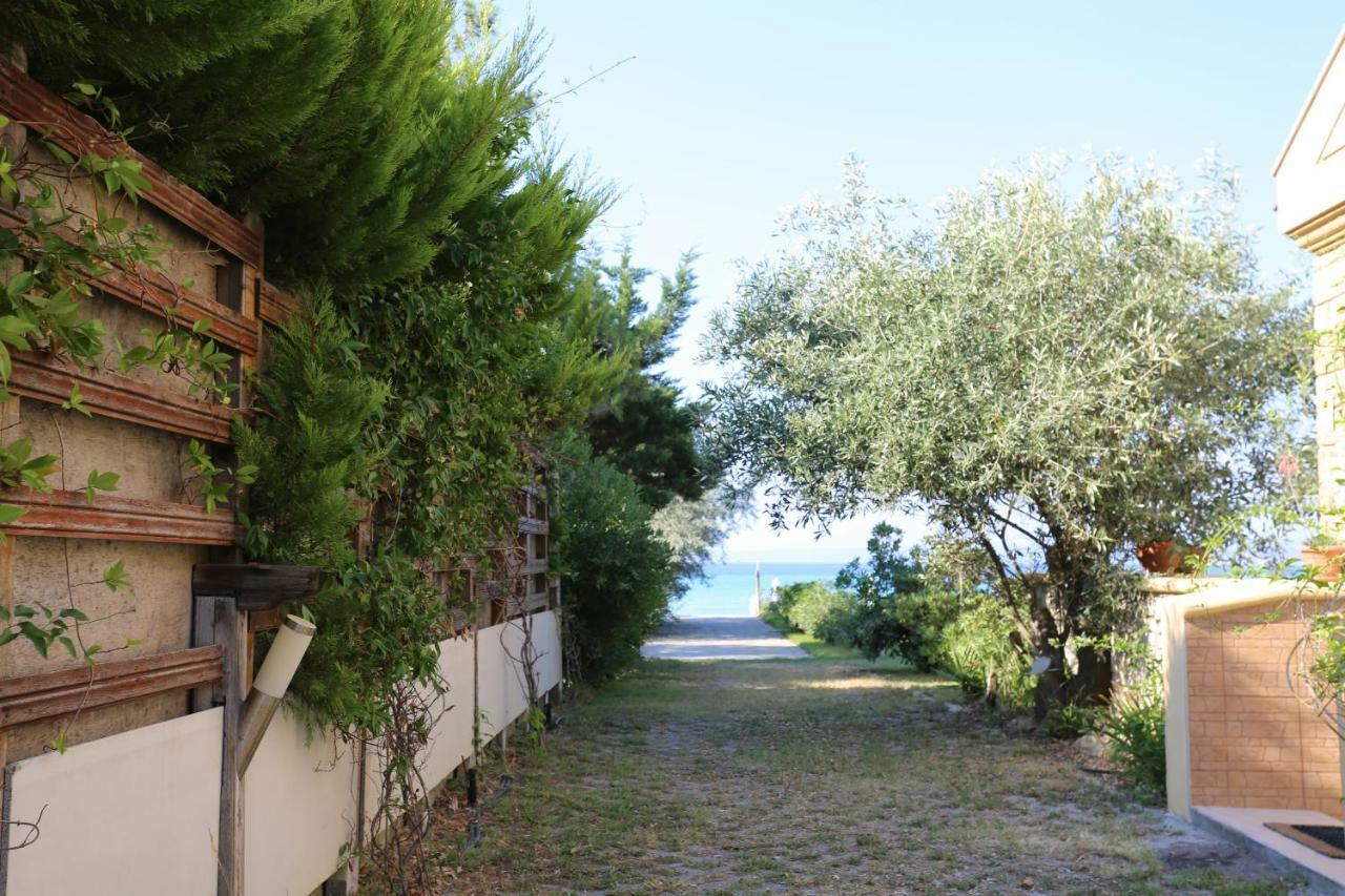 Villa Argo 3 - Beachfront, Big Gardens, Location! Pefkochori Eksteriør bilde