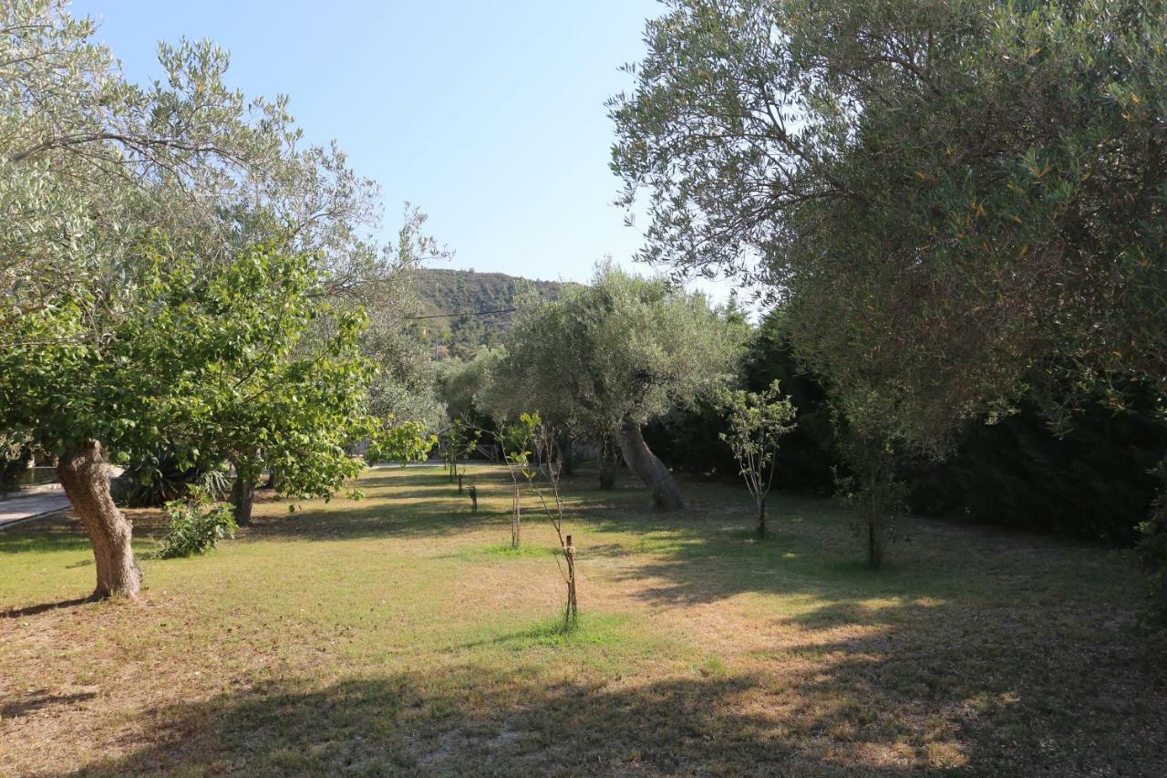 Villa Argo 3 - Beachfront, Big Gardens, Location! Pefkochori Eksteriør bilde