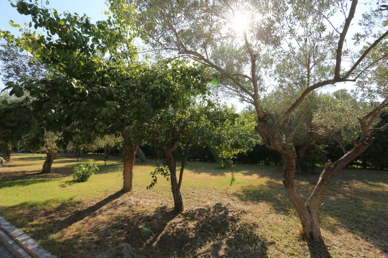 Villa Argo 3 - Beachfront, Big Gardens, Location! Pefkochori Eksteriør bilde